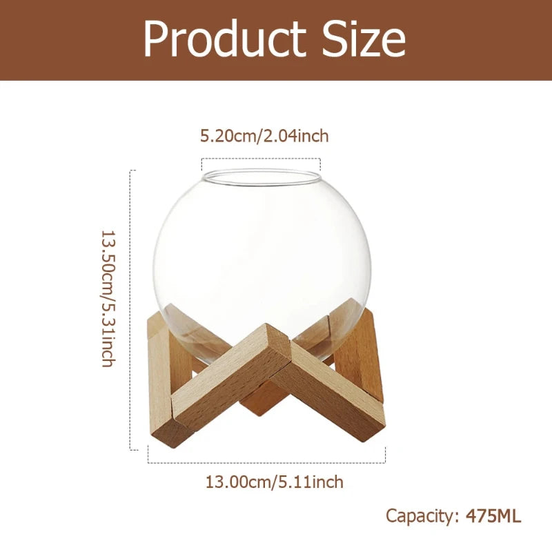 Stylish cocktail glass on a sturdy wooden stand, combining elegance and practicality