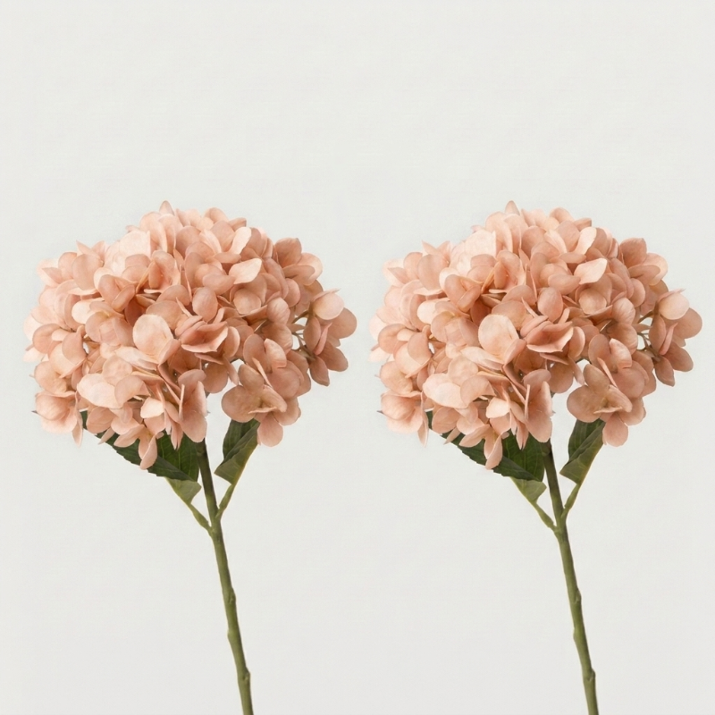 Two peach faux hydrangea stems on white background