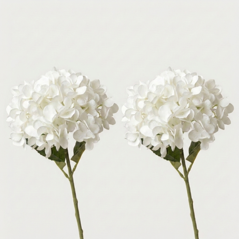 Two white faux hydrangea stems on white background