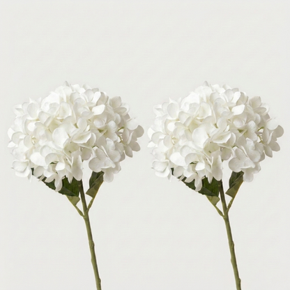 Two white faux hydrangea stems on white background