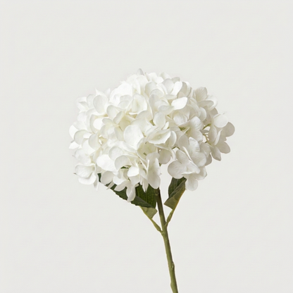 White faux hydrangea stem on white background
