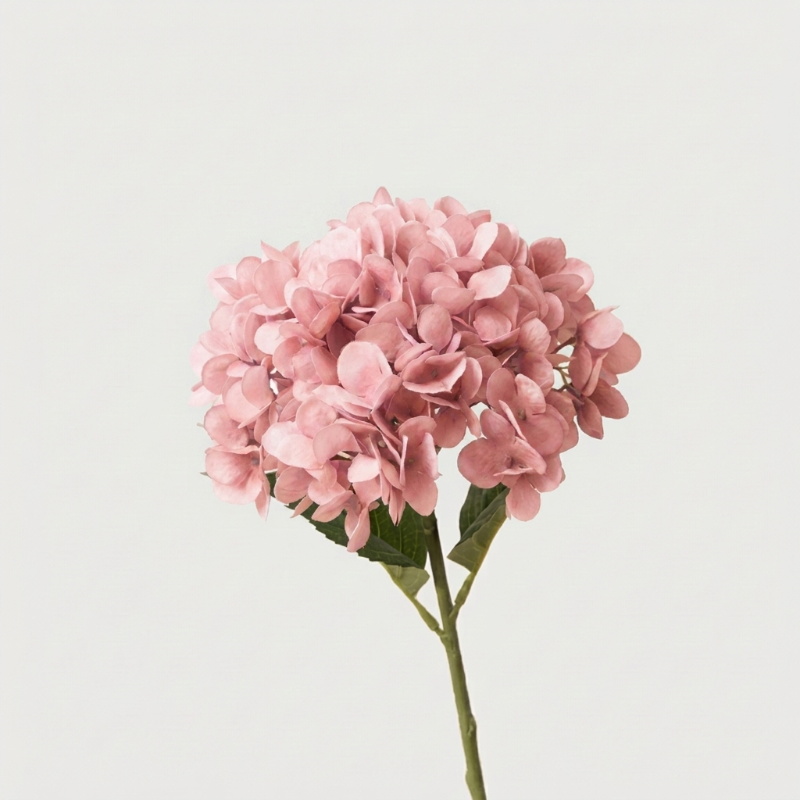 Pink faux hydrangea stem on white background