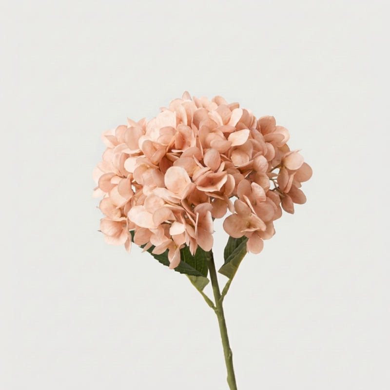 Peach faux hydrangea stem on white background