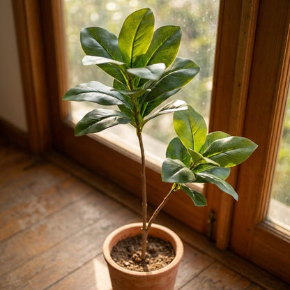 Two faux magnolia tree stems in a terracotta pot beside a rustic wood window frame