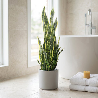 Tall faux snake plant in a grey planter beside a freestanding tub and folded towels in a spa-style bathroom