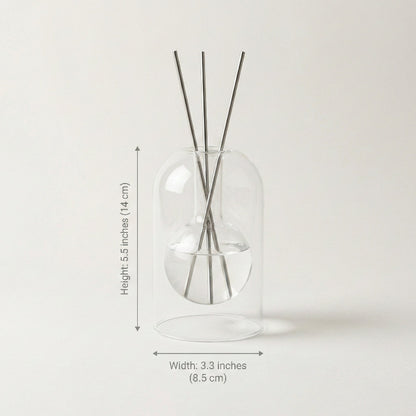Clear glass diffuser with reeds on a light gray background