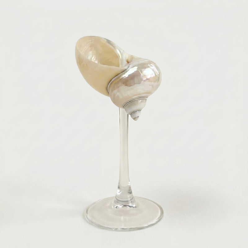 Sea Shell Glasses – Coastal Drinkware Set