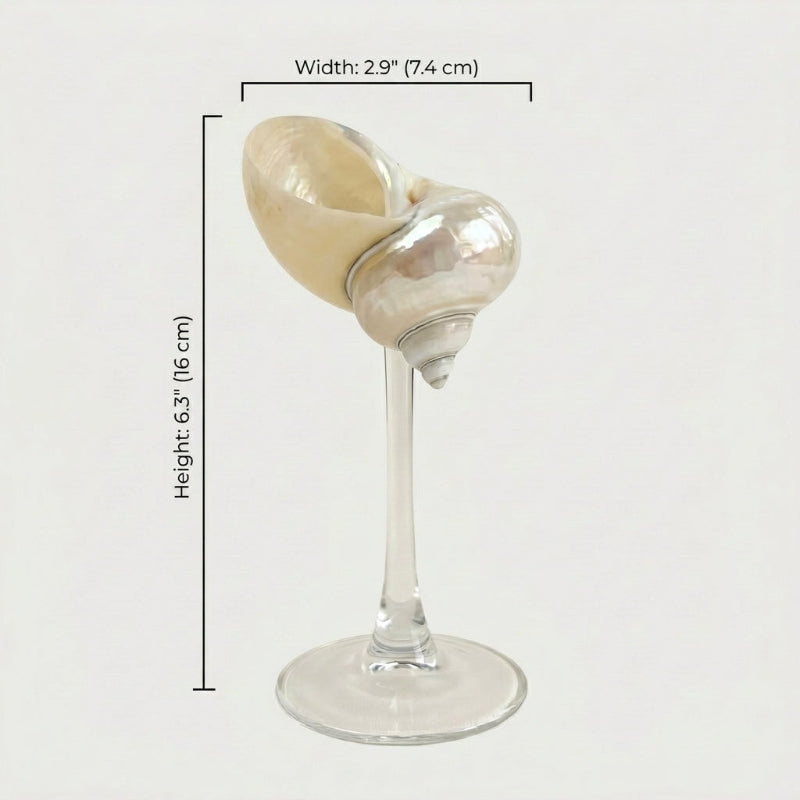 Isla seashell glass dimensions graphic on white background