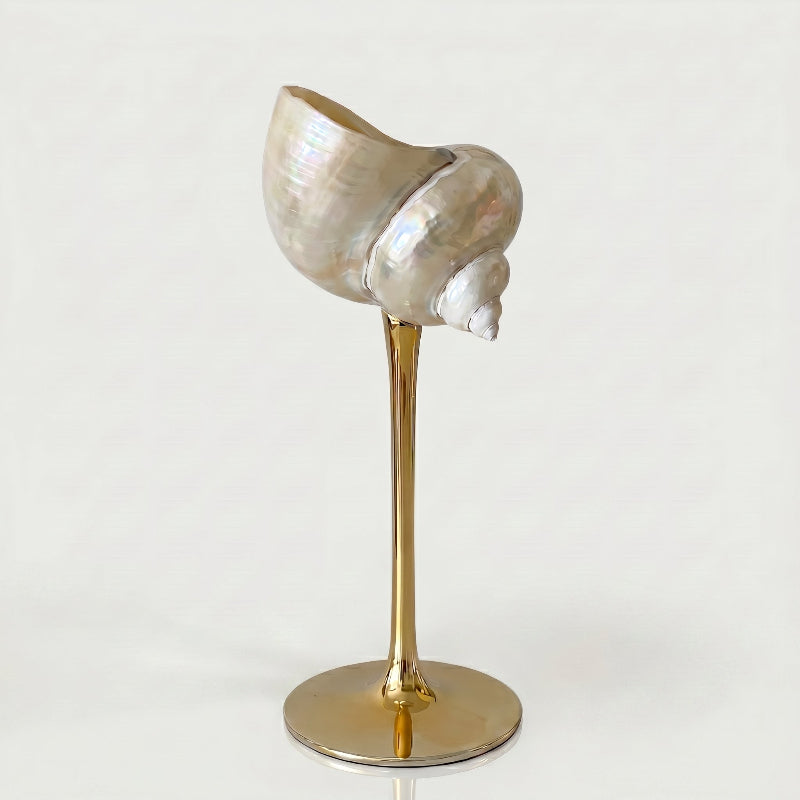 Isla seashell glass on white background with gold stem