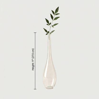 Lucia hand-blown clear glass vase dimensions graphic on white background