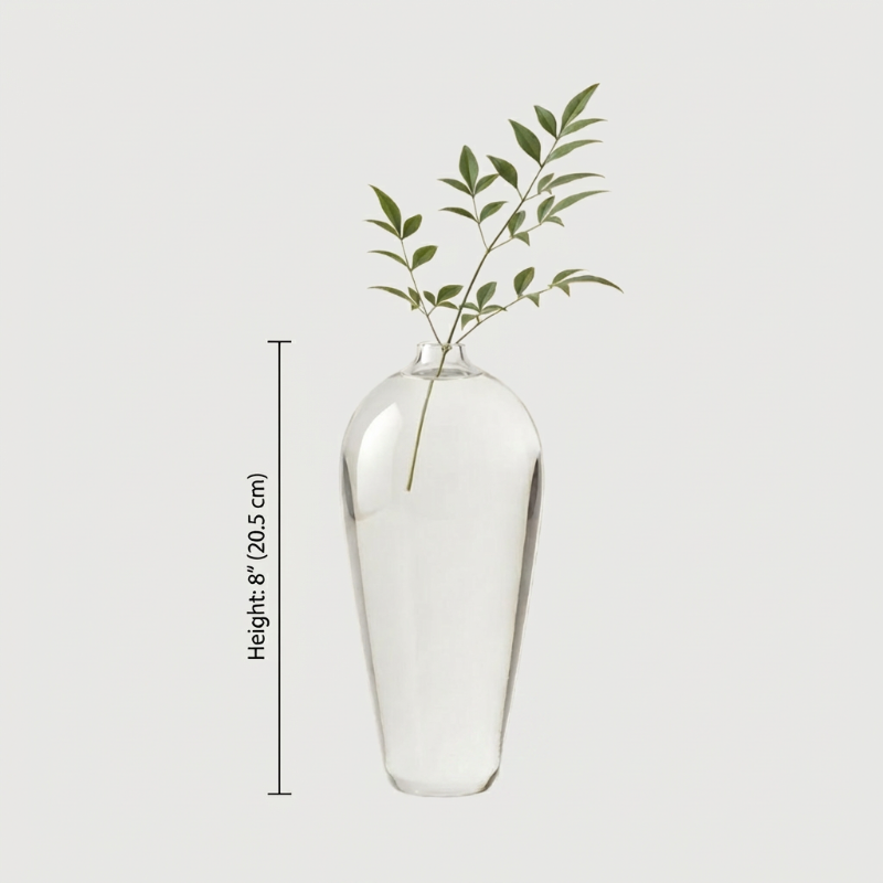 Lucia hand-blown clear glass vase dimensions graphic on white background