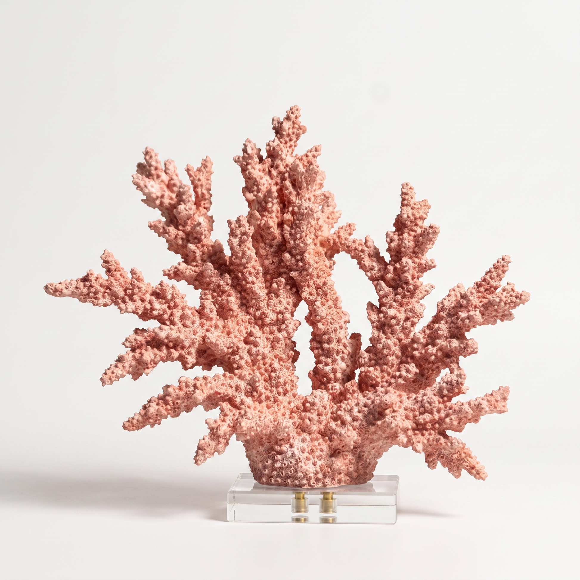 Orange marble coral sculpture on a marble base, off-white background