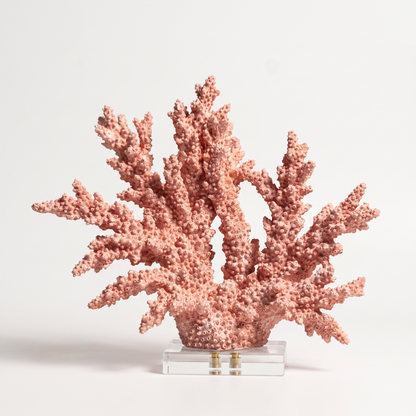 Orange marble coral sculpture on a marble base, off-white background