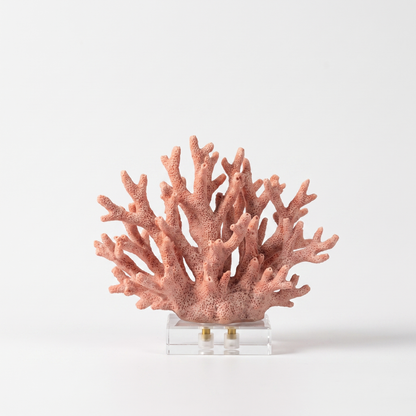 Pink marble coral sculpture on a white marble base, off-white background