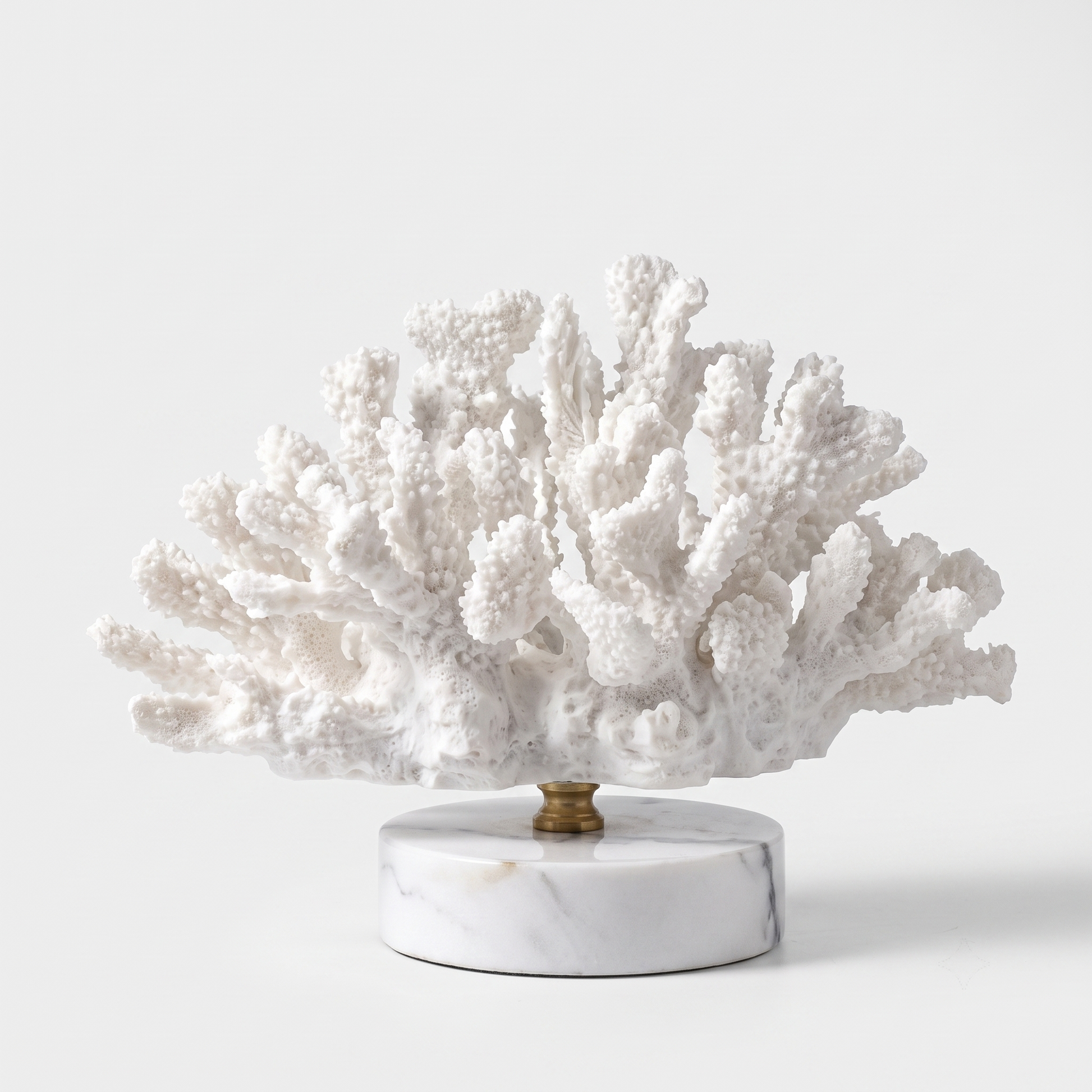 White branching marble coral sculpture on a marble base, off-white background