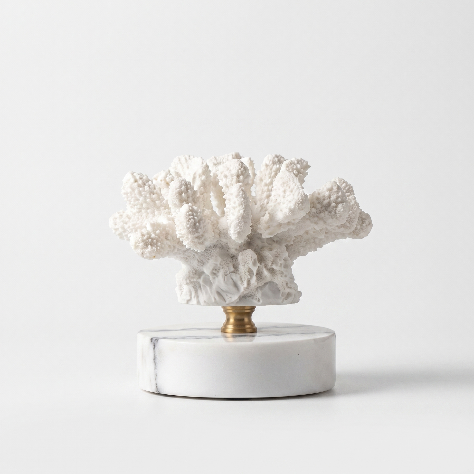White fan-shaped marble coral sculpture on a marble base, off-white background
