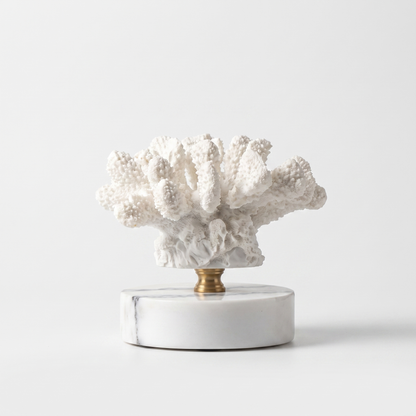 White fan-shaped marble coral sculpture on a marble base, off-white background