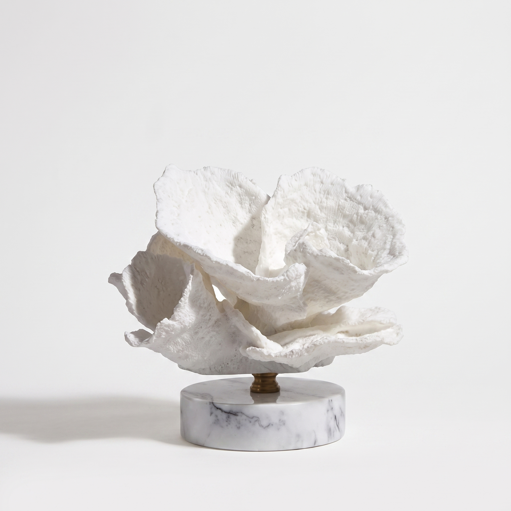 White scroll-form marble coral sculpture on a marble base, off-white background