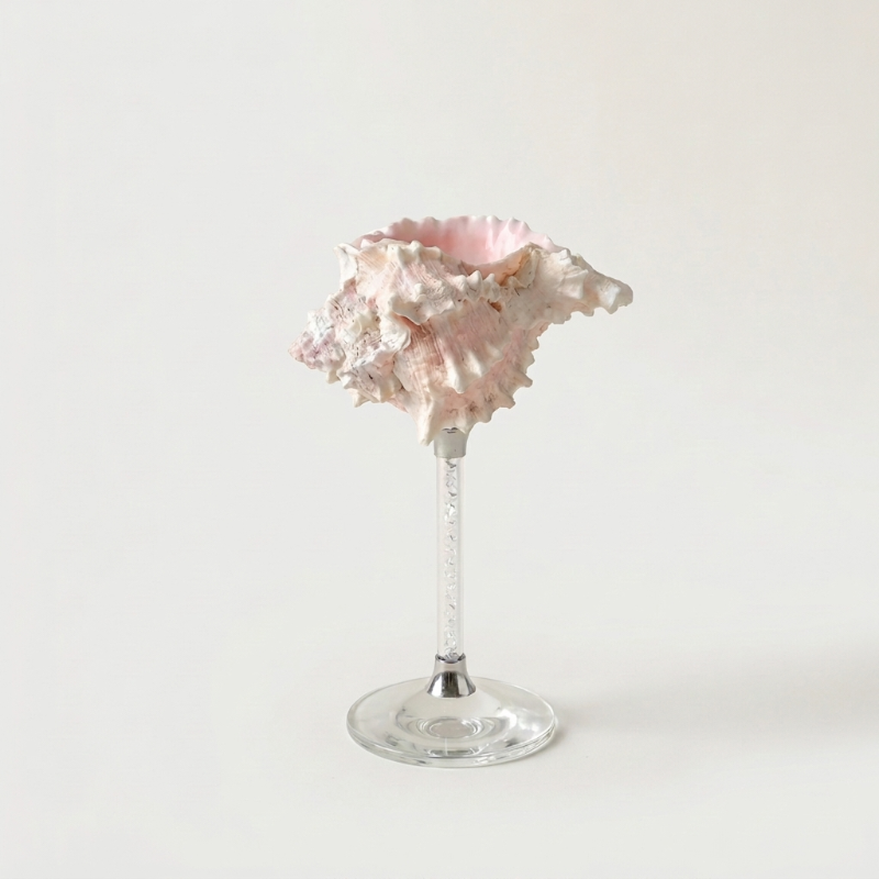 Pink Maris seashell glass on white background