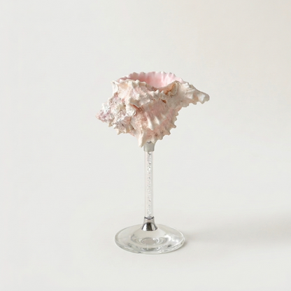 Pink Maris seashell glass on white background