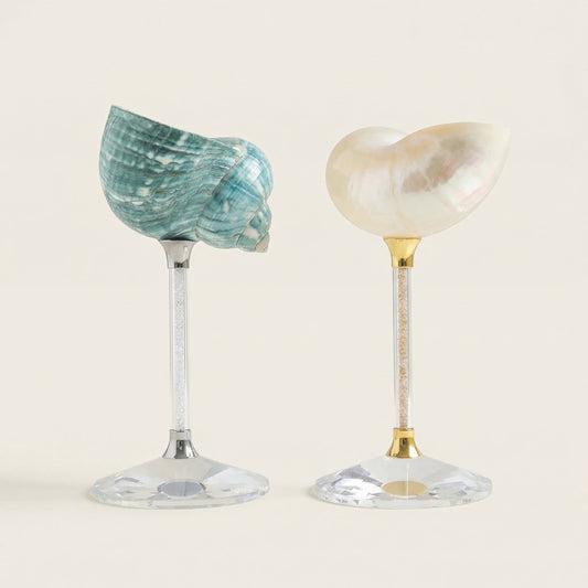 Maris seashell glasses in blue and cream on white background