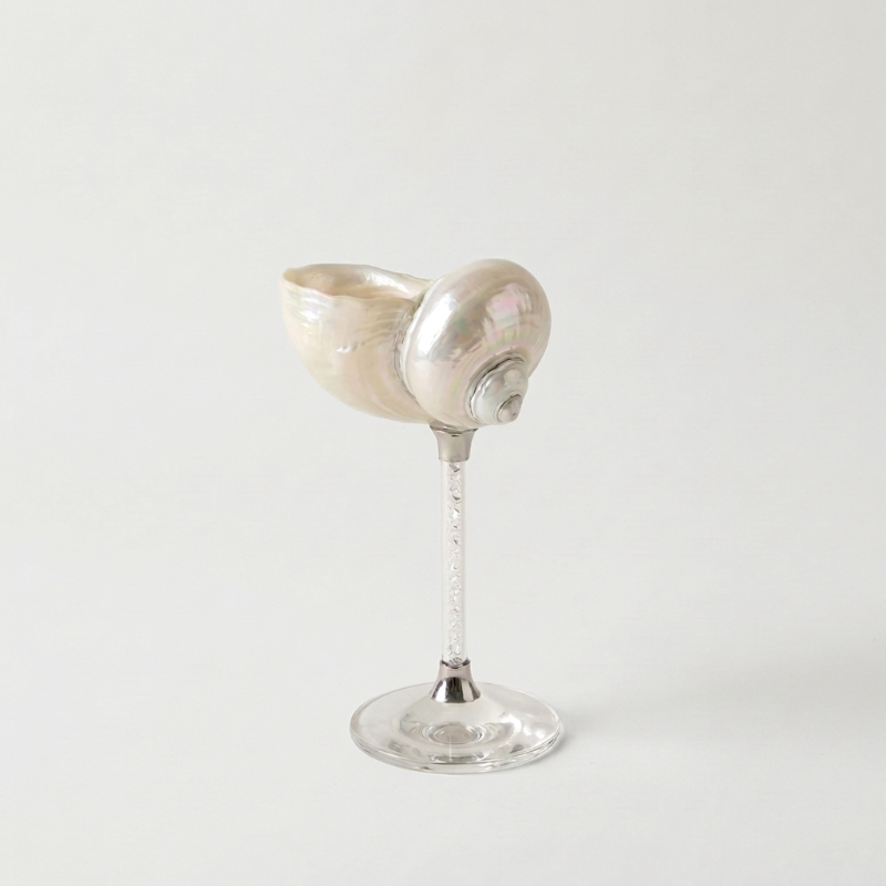 Clear Maris seashell glass on white background