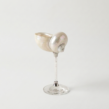 Clear Maris seashell glass on white background