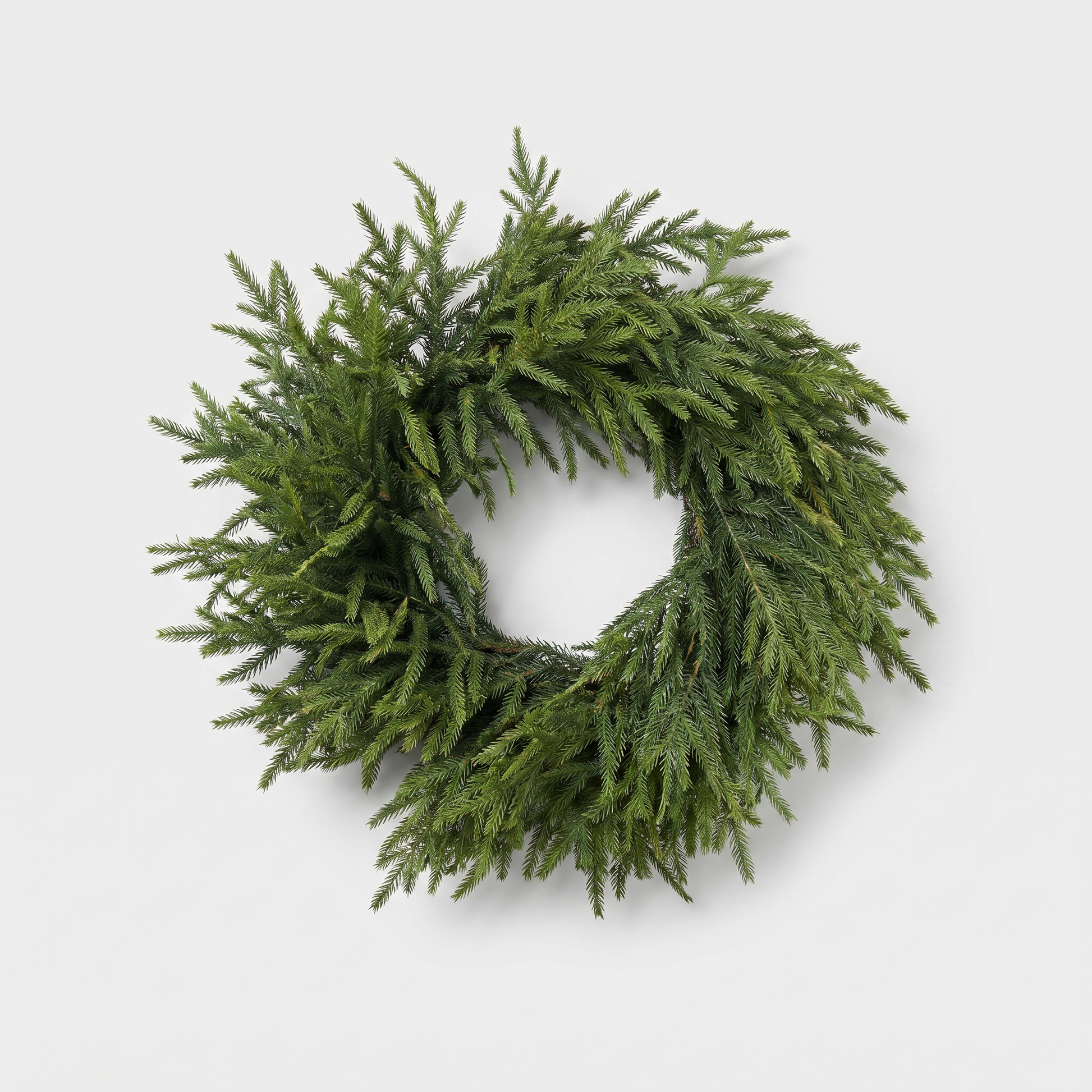 24-inch Norfolk pine wreath with lush lifelike green needles on a clean off-white background