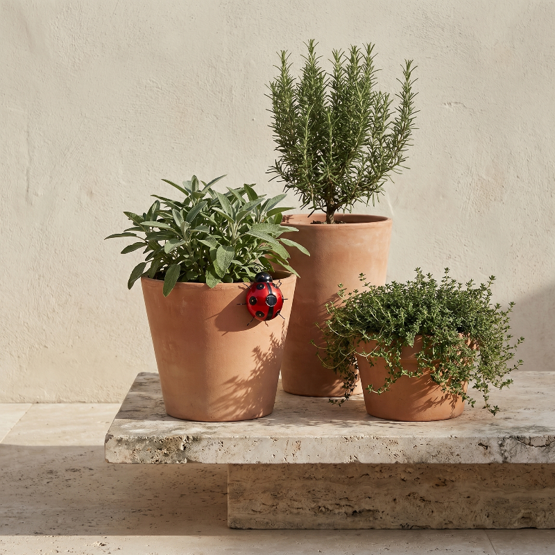 Solar metal ladybug garden light on stone ledge beside potted herbs
