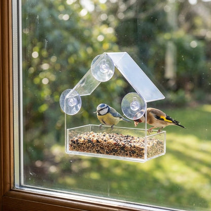 Clear acrylic window bird feeder with a blue tit and goldfinch feeding, mounted on a garden window