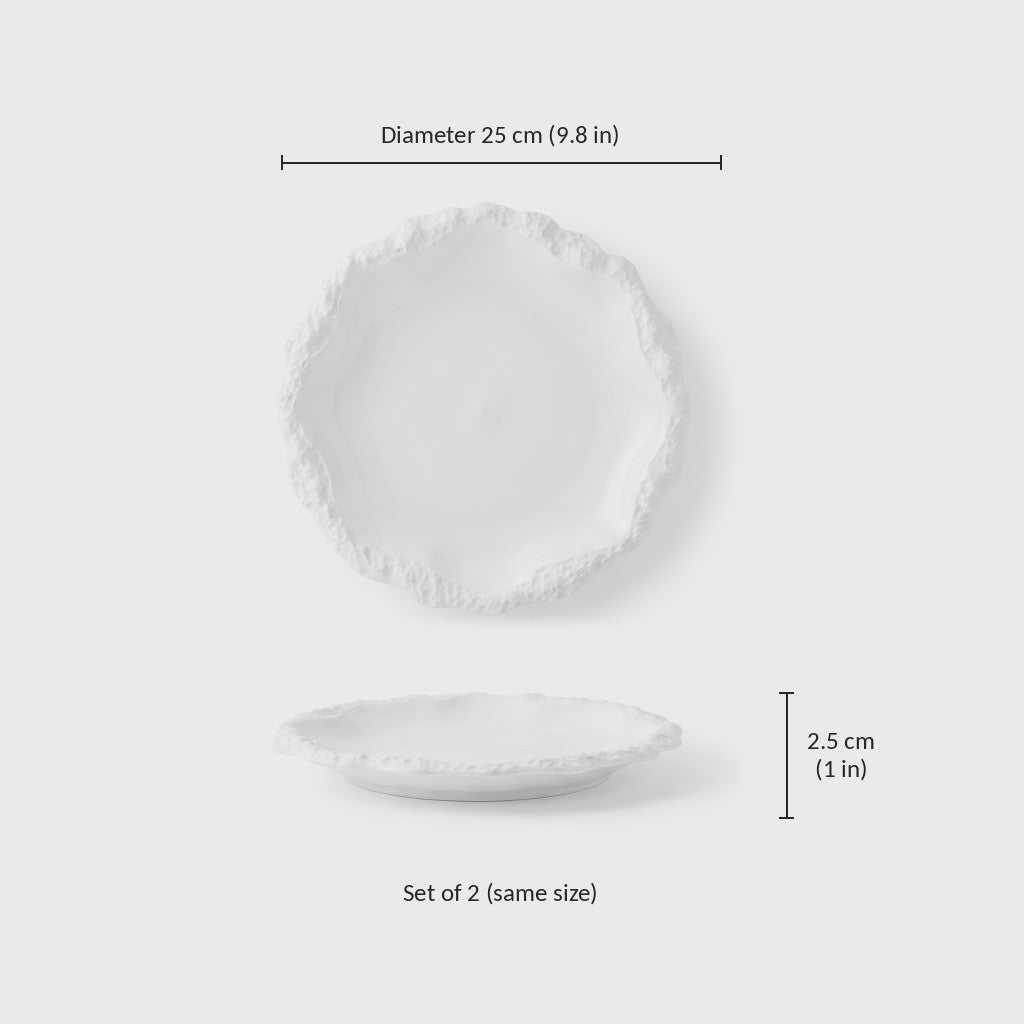 Dimensions graphic of a white ceramic plate with a textured rim, diameter 25 cm or 9.8 in and height 2.5 cm or 1 in, set of 2 in the same size