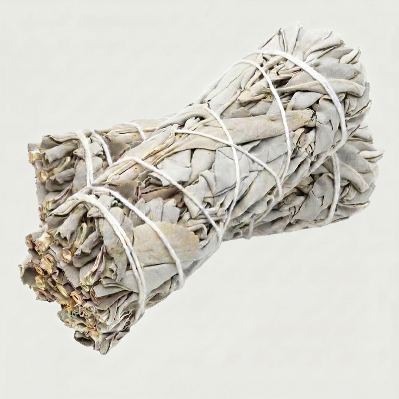 White sage smudge bundle on white background close-up